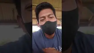 Careducation SMA, Pohon keluarga