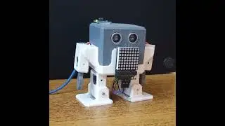 🎄Merry Christmas🎅 from  🍪Cookie::The CJ BOT🤖
