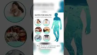 Portable Hydrogen Hydrolyte Water Generator Bottle Rechargeable Ionizer Alkaline