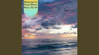Oceanic Birds Motion