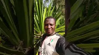 Discover Climate Change Solution, Carbon Sequestration,Drought Tolerant plant, Environmental hope