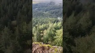 Pnw things.                                             #pnw #washington #explorer #wanderer #new
