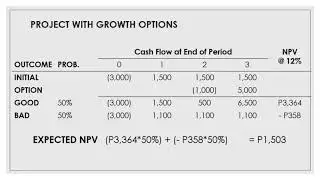 Real Options and Other Topics in Capital Budgeting (PARPAN) Part I Introduction and Growth Options