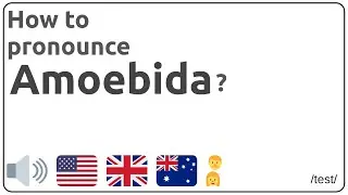 How to pronounce Amoebida in english?