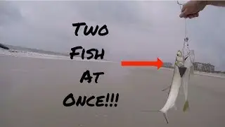 How To Catch Fish From The Beach With The High-Low Rig (Surf Fishing)