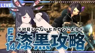 【FF14】NPCと進める漆黒メインストーリー【Vtuber/ルゥ=リエ】