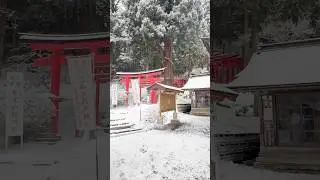 Whispers of Winter: Japanese Zodiac Shrine #japantravel  #goshuin #御朱印 #snow #snowday #iwate #shorts