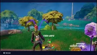 #fortnite #victoriacampal #gameplay