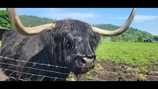 Scotland Forest Holidays Adventure in Strathyre, Callander Part 3