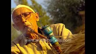 Traditional Rural life hard work in fields and quiet hukkah break