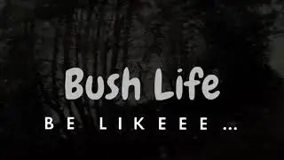 OPERATION:BUSHES 👀🫣#whereIMAbe