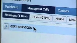 Online Voicemail