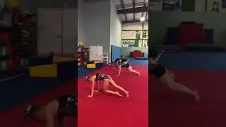 🎖Quarantine Workout🎖 15 Minute Home Workout Challenge For Gymnasts