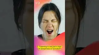 Truth Facts About Yawning