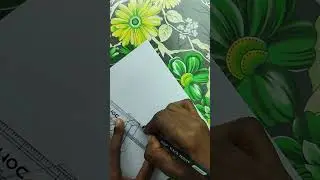 3D Drawing