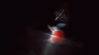 Putao GoPro #OpenArt