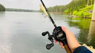 TOPWATER Bass Fishing ACTION on Lake Allatoona!! (Whopper Plopper)