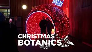 Christmas at the Botanics, RBG Edinburgh,  2021