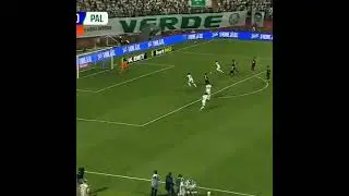 GANHAMOS E RUMO AO T&Iacute;TULO PAULISTA AVANTI PALESTRA💚🐷