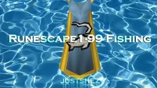 Runescape Fishing Guide 1-99 2015 Fast XP and AFK/Money Methods