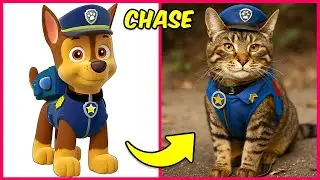 Как персонажи Щенячьего патруля выглядят в облике кошек 🐱 + Угадай персонажей Щенячьего патруля п...