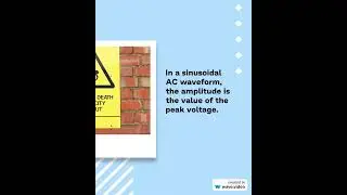 mystery of  Amplitude in BEE🤓 || smart study zone || #shorts #BEE #