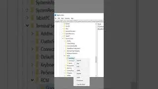 Extend Remote Desktop Service license Using Registry Server 2022