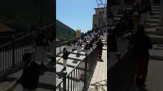 Pisciotta Sant'Agnello Abate 2017