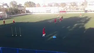 Soccer specific endurance training