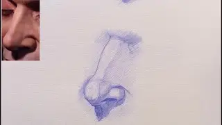 Sketch: How to Draw a Nose (3/4 View) with Ballpoint Pen