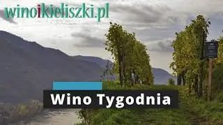 Wino Tygodnia - Winoikieliszki.pl - Gelber Muskateller Privat Ried Satz - Weingut Niki Windisch #17