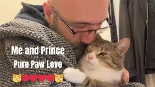 Мой кот проявляет любовь / Принц. 🐾😽
