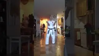 Goju-ryu Karate-Do shoreikan Gekiha