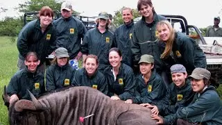 EcoLife Expeditions Introduction