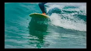 Baja Times