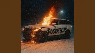 NO SEATBELTS