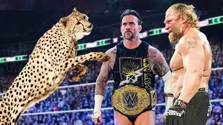 Cheetah vs Brock Lesnar Cm Punk Match
