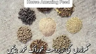 Horse Special Diet | گھوڑوں کے لئے خاص خوراک | Malik Farm