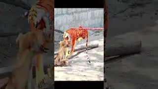 This Dog React to Fake Tiger Halirously Haha Very Funny #dogreaction #prankdog #faketigervsdog