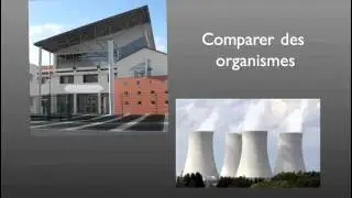 Diversit&eacute; linguistique et langue commune