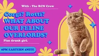 What About our Feline Overlords? Plus: Drunk Girl!
