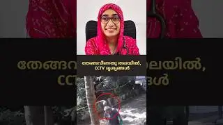 Coconut Hit on Head:Real footage.തേങ്ങവീണതു തലയിൽ, CCTV ദൃശ്യങ്ങൾ