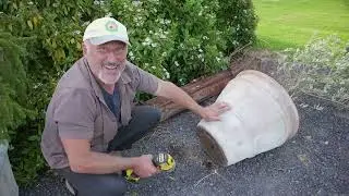 Revitalizing Potted Trees Without Re-potting