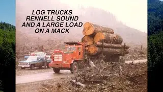 Loaded log trucks at Rennell Sound