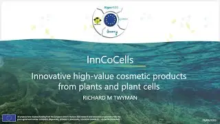 The InnCoCells project | Kick-off meeting of the cluster of projects