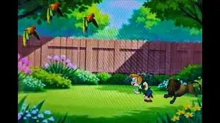 Lion cartoon boy cartoon video cat cartoon video flying parrot video runningbutterfly video