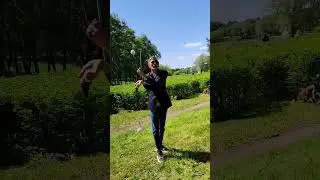 работа мозга ведущего