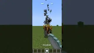 Minecraft Mobs Weaknesses #shorts
