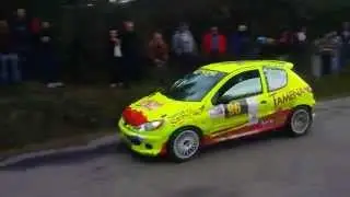 Rally San Froilan 2015