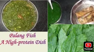 Fish Palang Recipe||Full Protein Dish|| Non Veg Recipe|| Bengali special Recipe|| Try at home